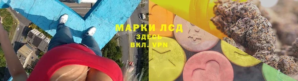 стаф Алексин