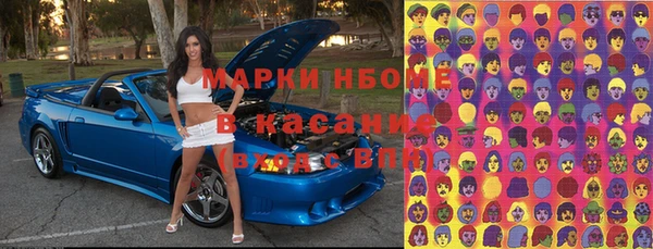 стаф Алексин