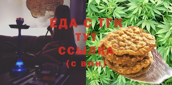 стаф Алексин