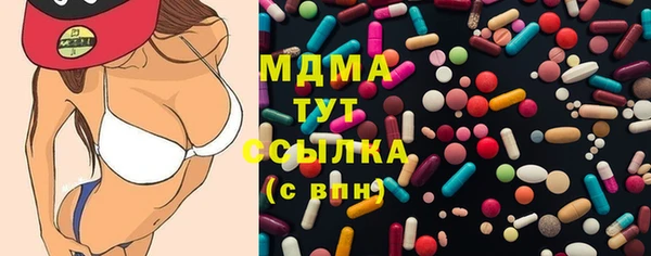 стаф Алексин