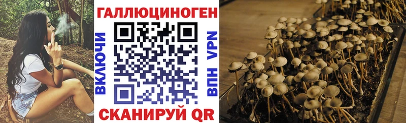 MEGA как зайти  Бавлы  Галлюциногенные грибы мицелий 